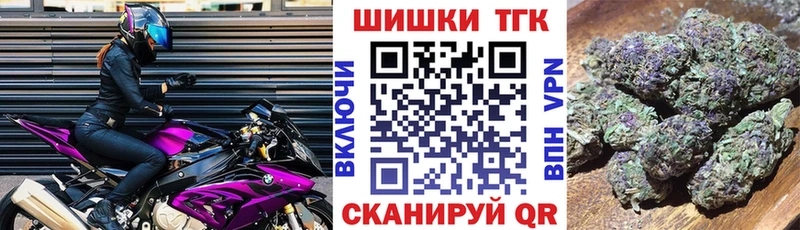 Бошки марихуана сатива  Углегорск 